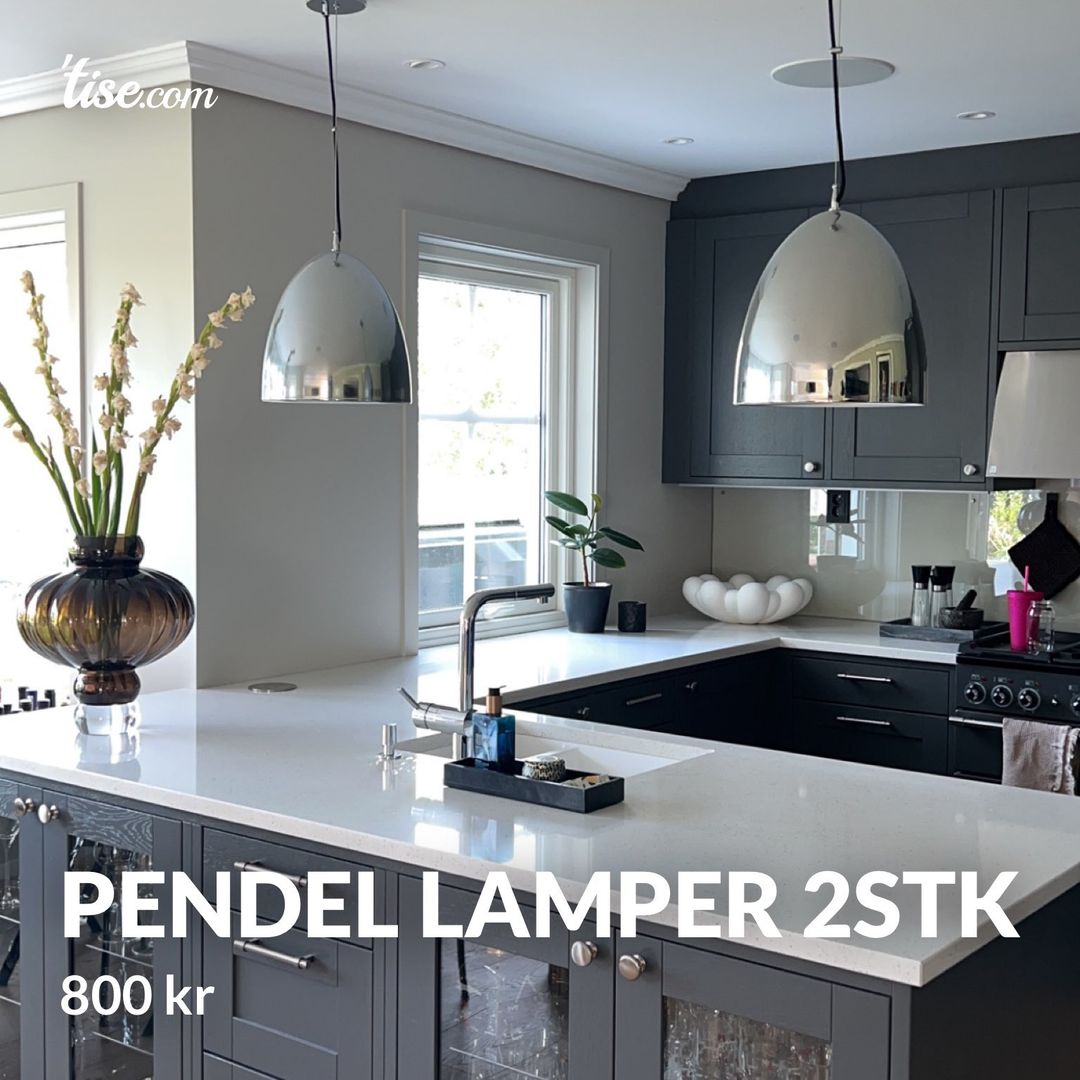 Pendel lamper 2stk