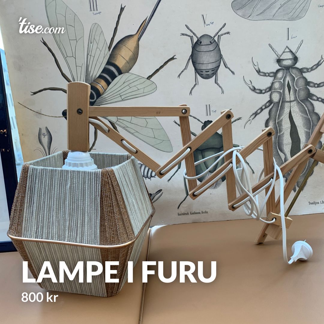 Lampe i furu