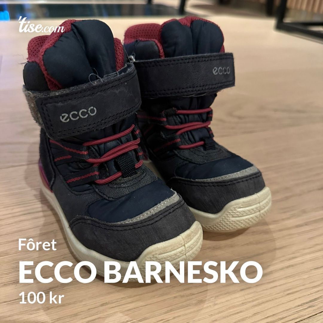 Ecco barnesko