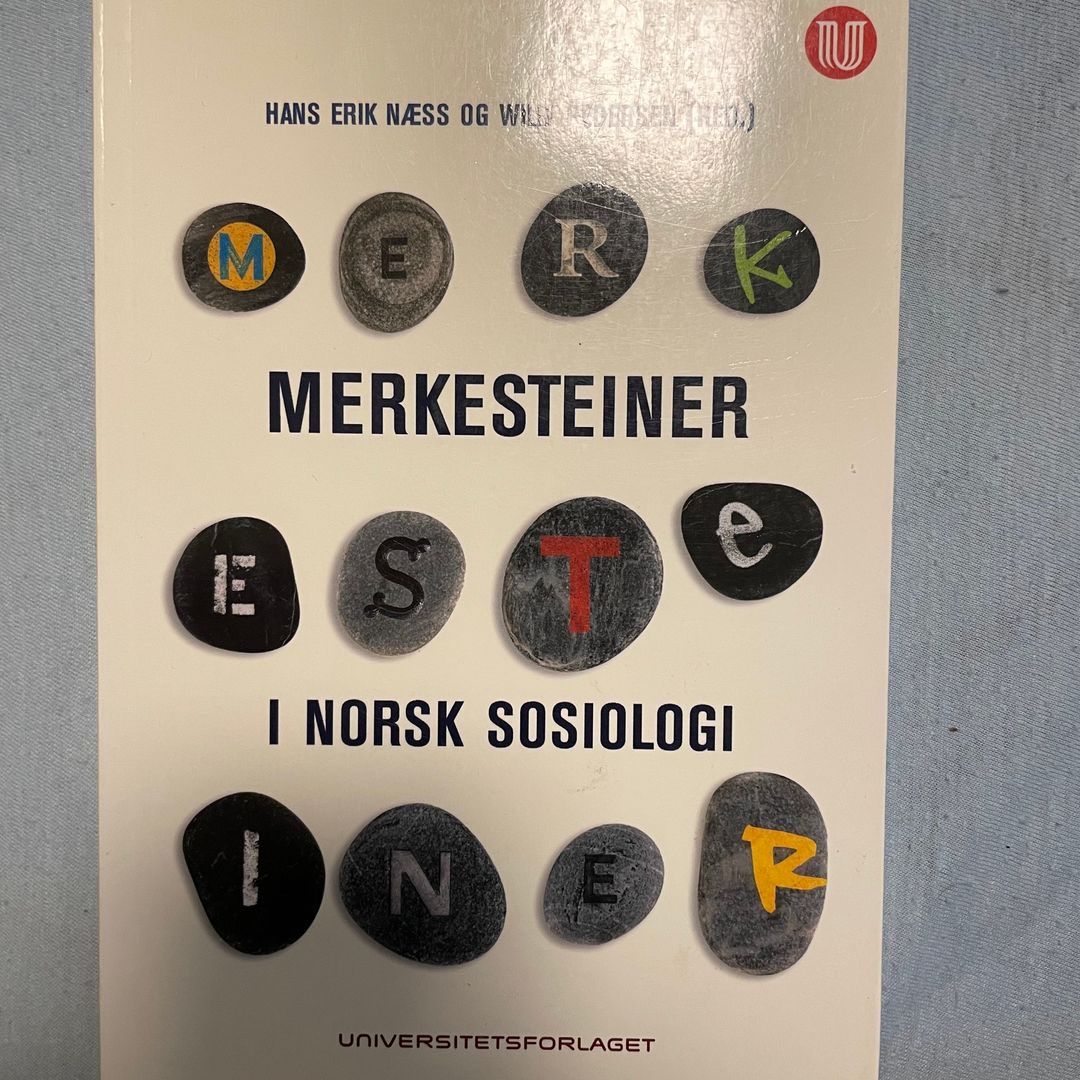 Merkesteiner i norsk