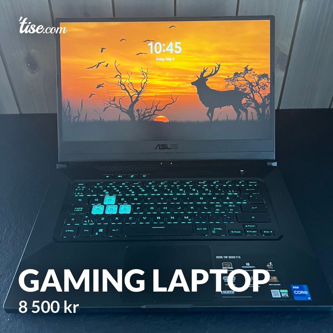 Gaming Laptop