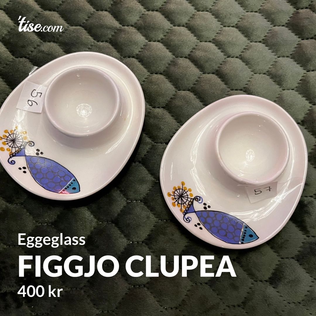 Figgjo clupea