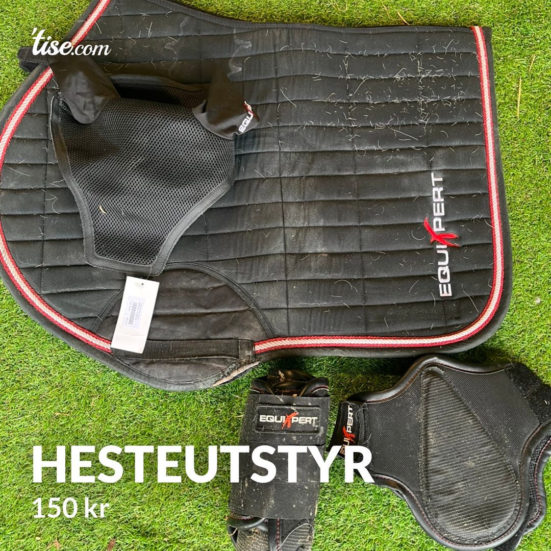 Hesteutstyr