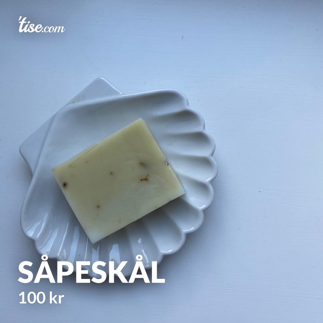 Såpeskål