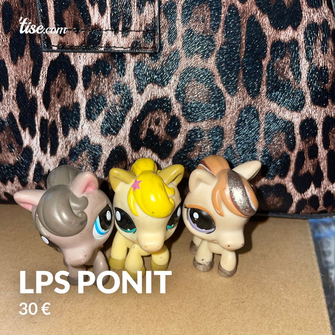 Lps ponit