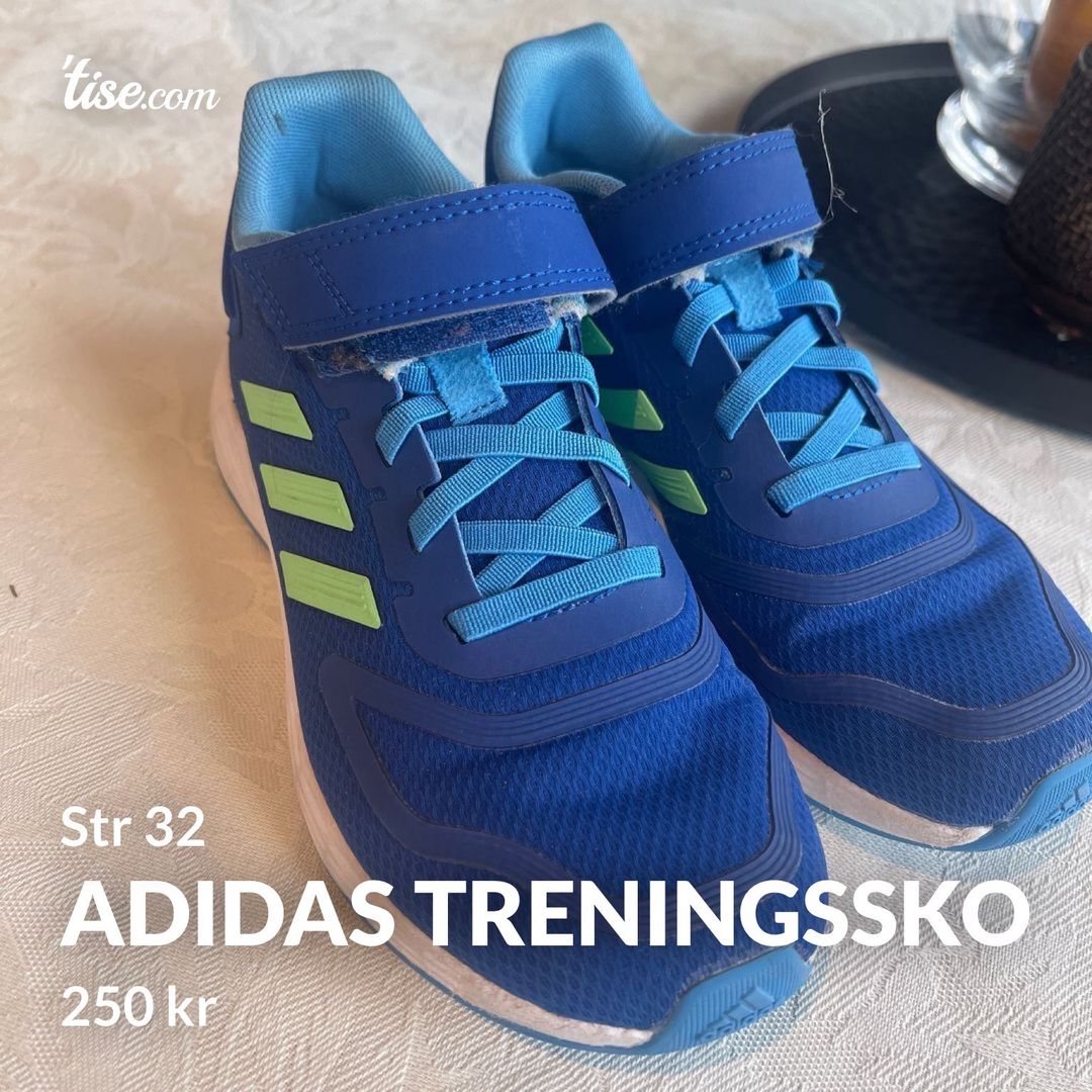 Adidas treningssko