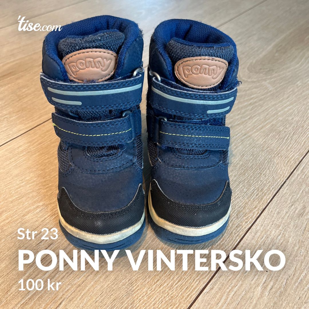 Ponny vintersko