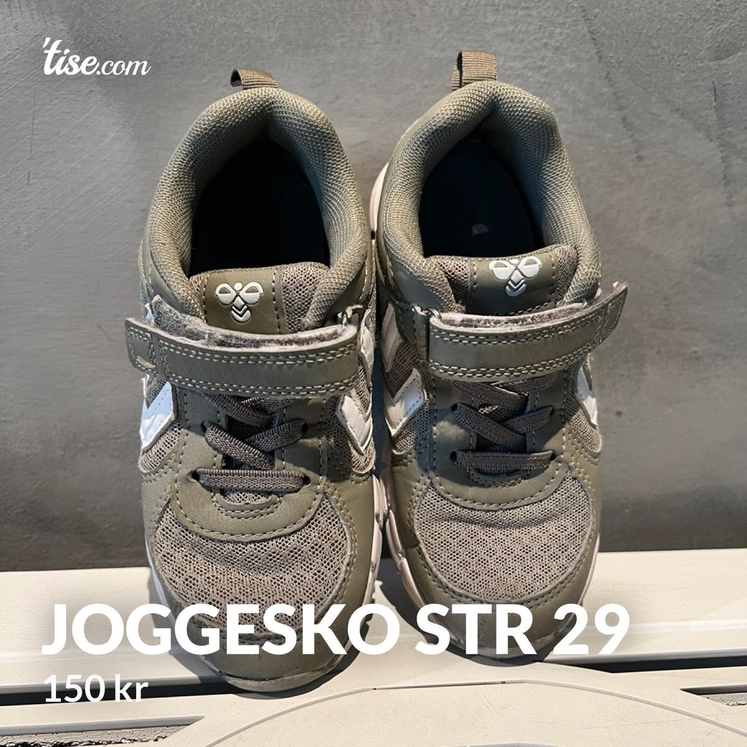 Joggesko str 29