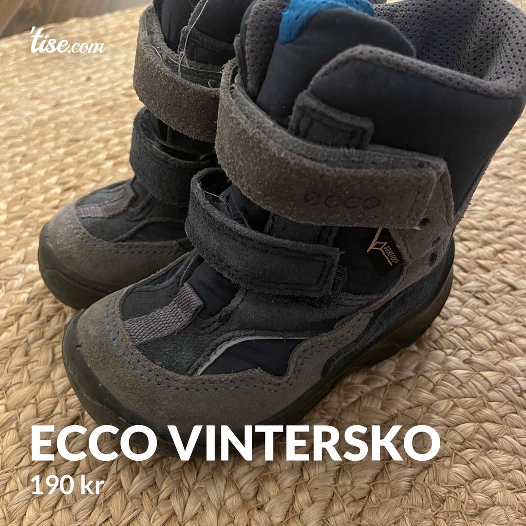 Ecco vintersko