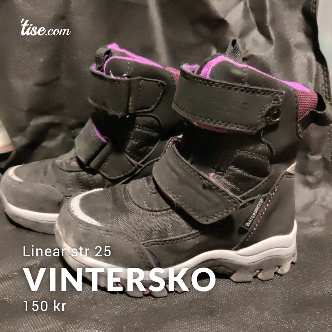 Vintersko