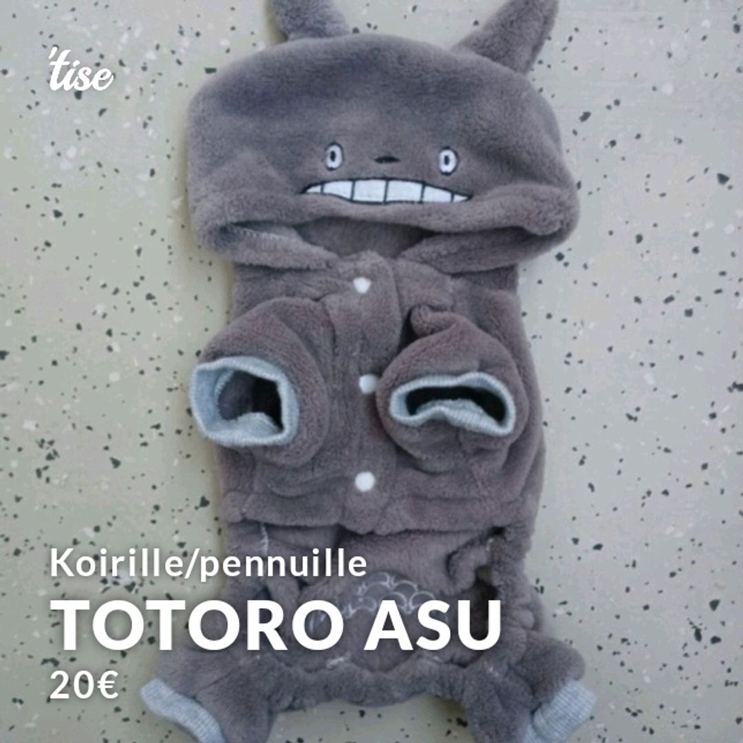 Totoro Asu