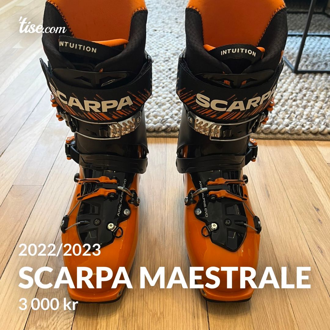 Scarpa Maestrale