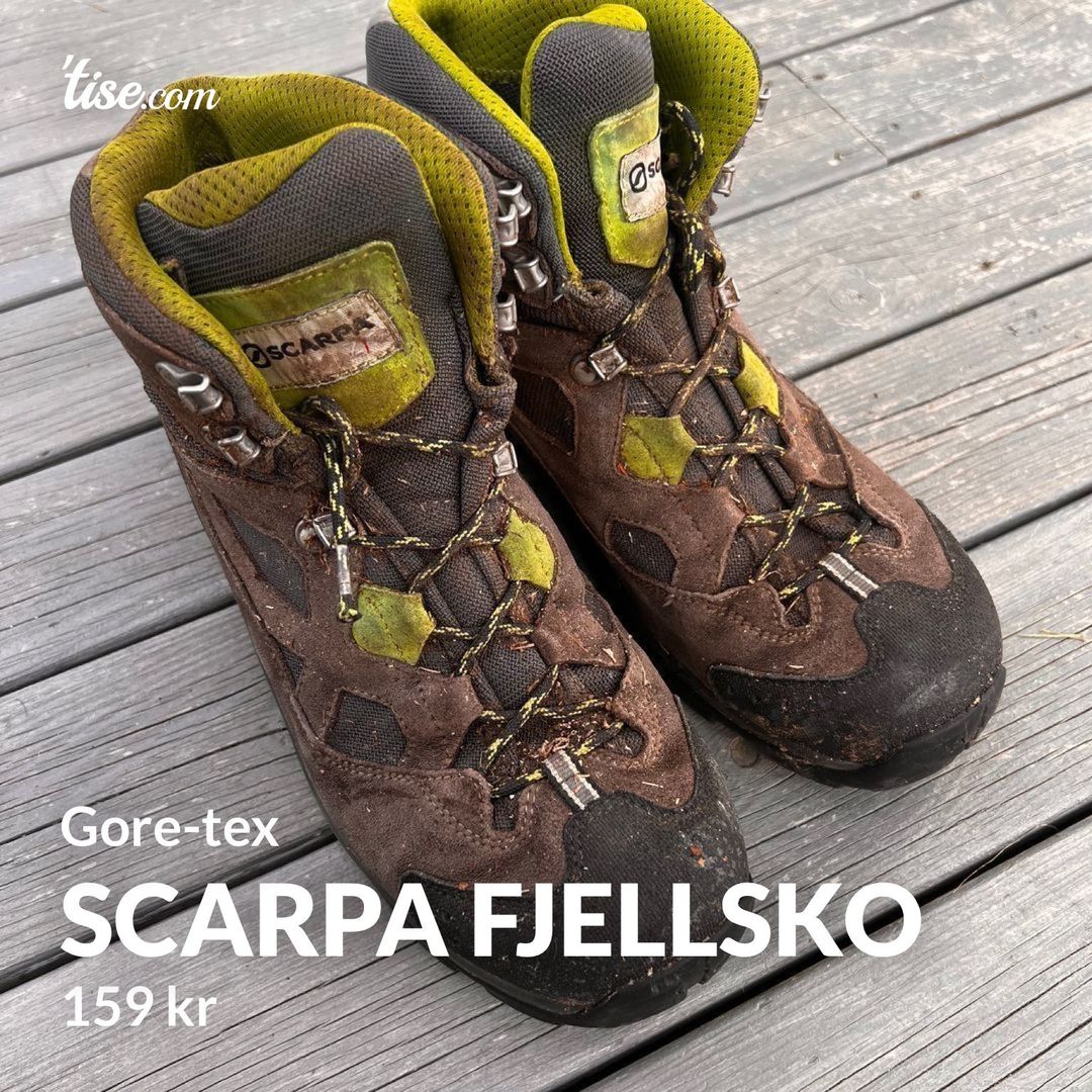 Scarpa fjellsko