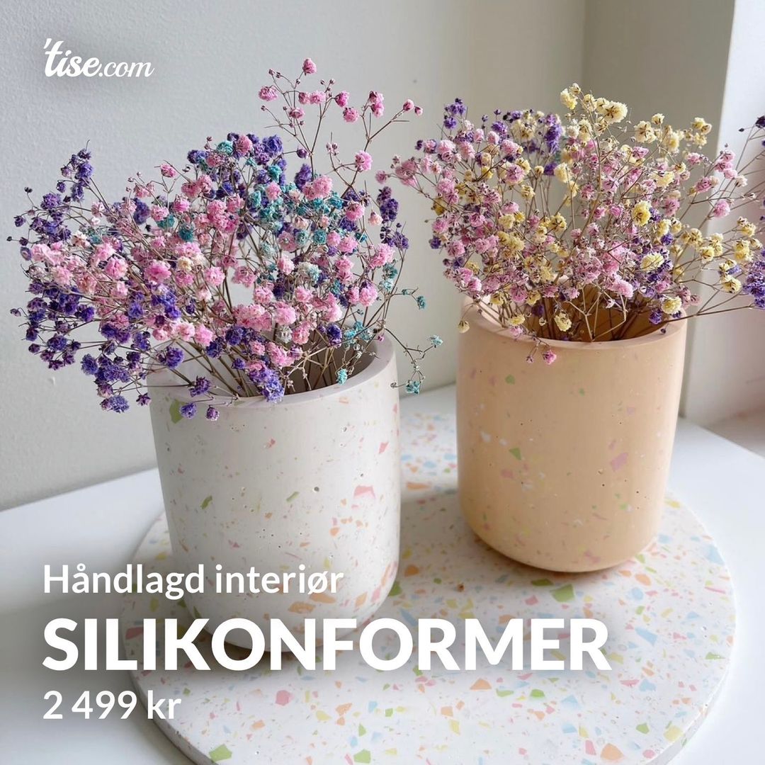 Silikonformer