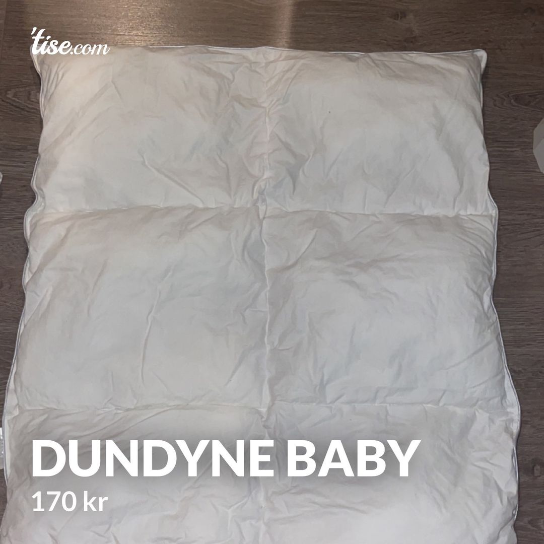 Dundyne baby