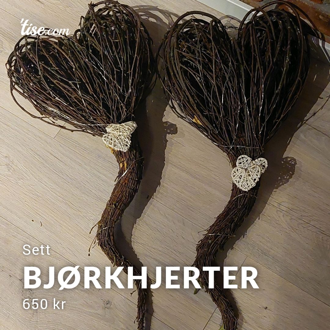 Bjørkhjerter