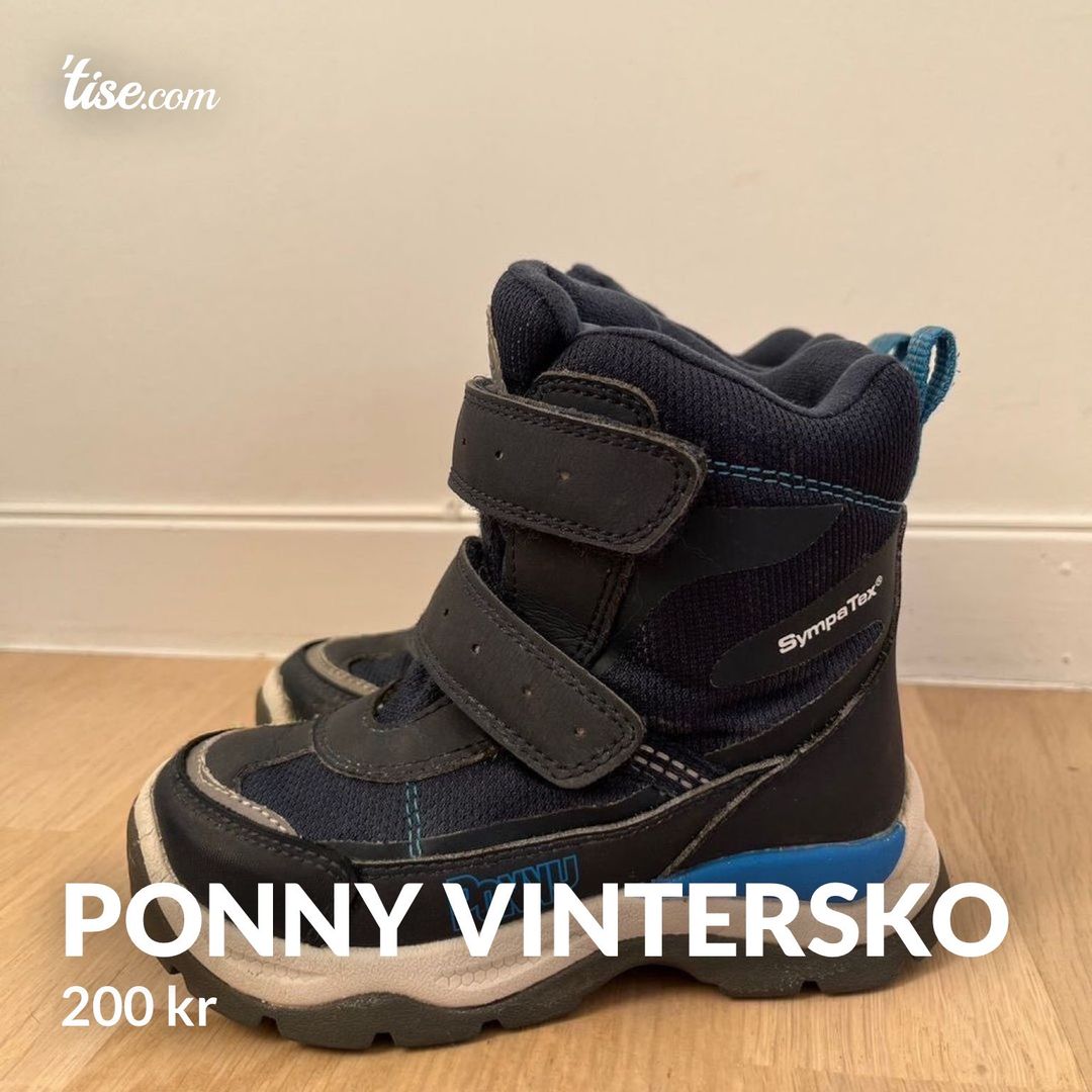 Ponny vintersko