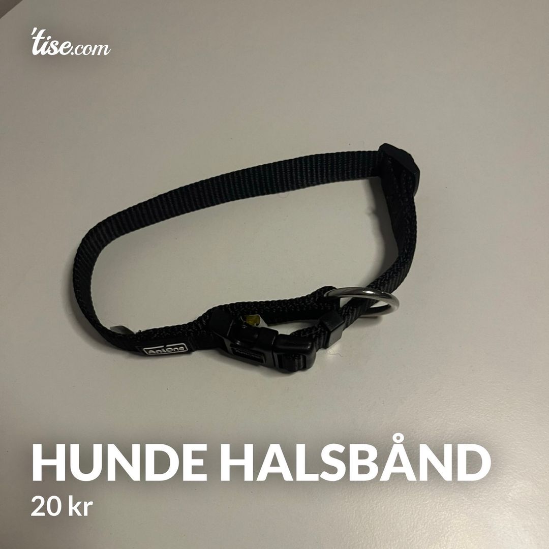 Hunde halsbånd