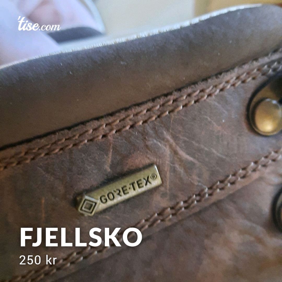 Fjellsko