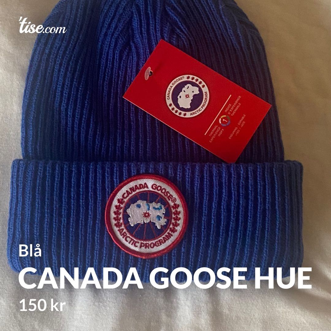 Canada goose hue