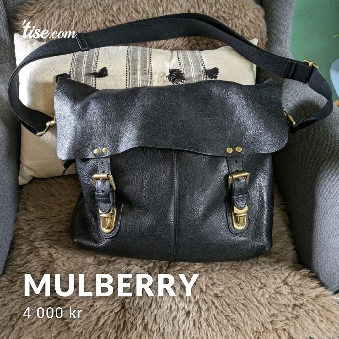 Mulberry