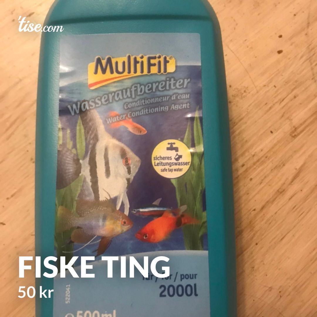 Fiske ting