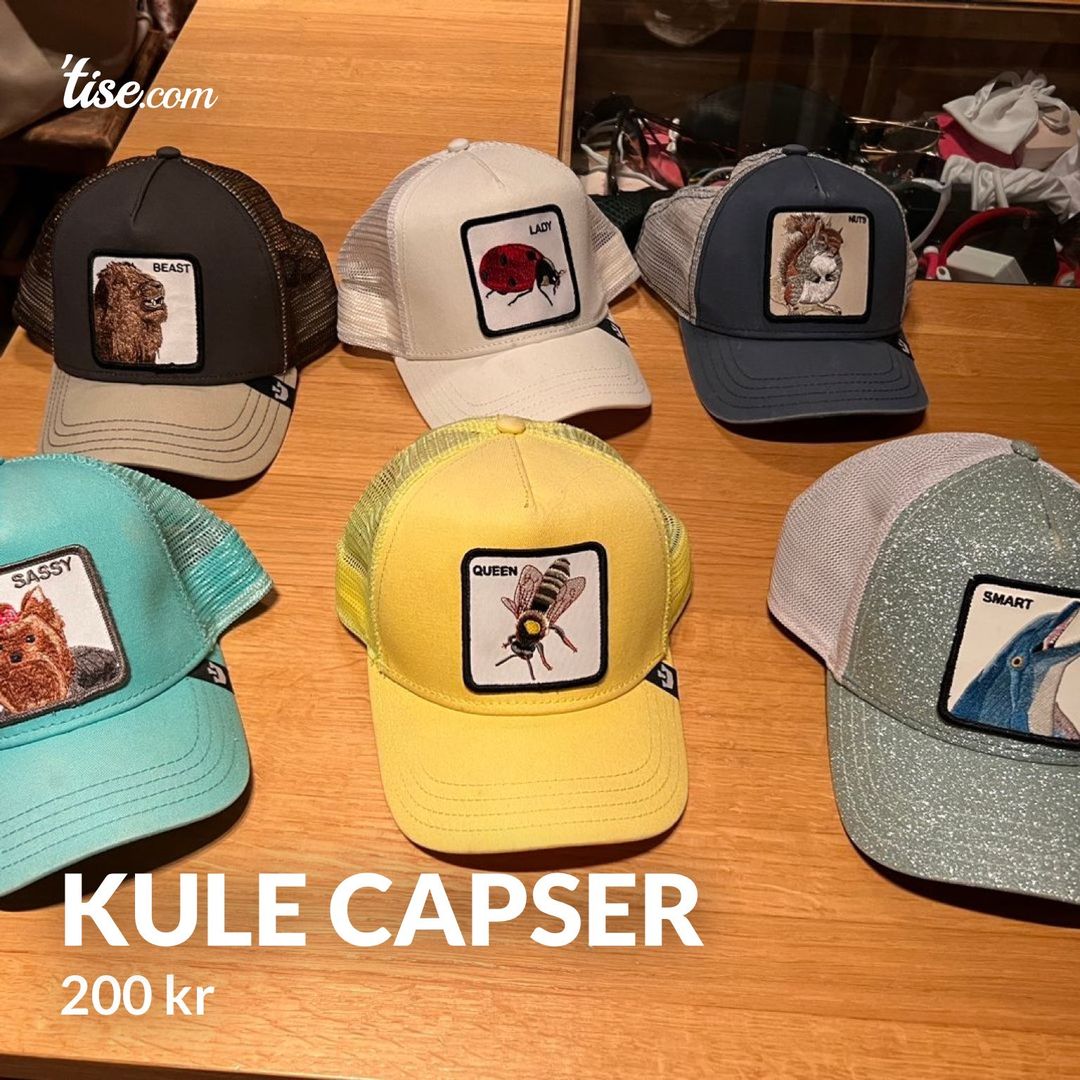 Kule capser