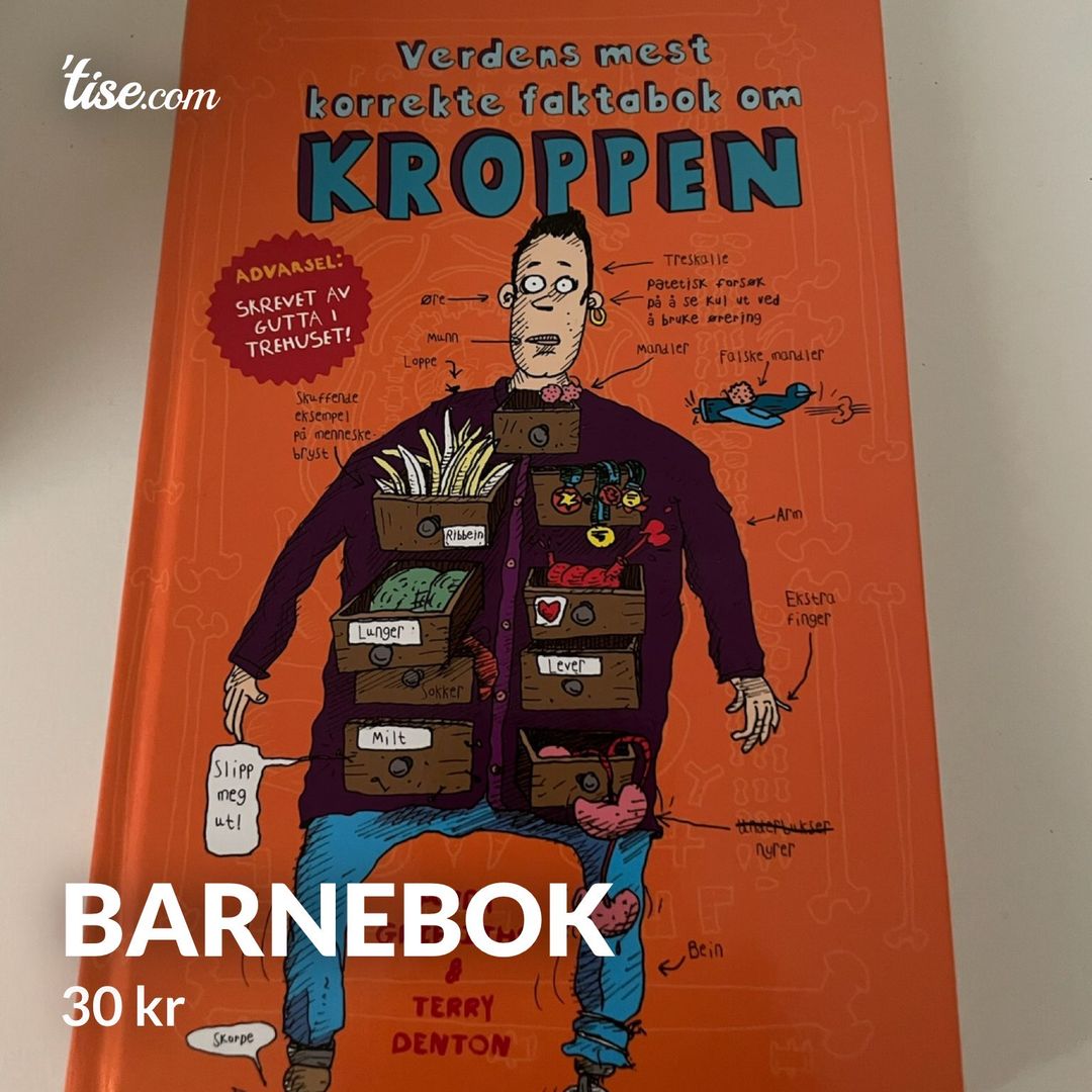 Barnebok