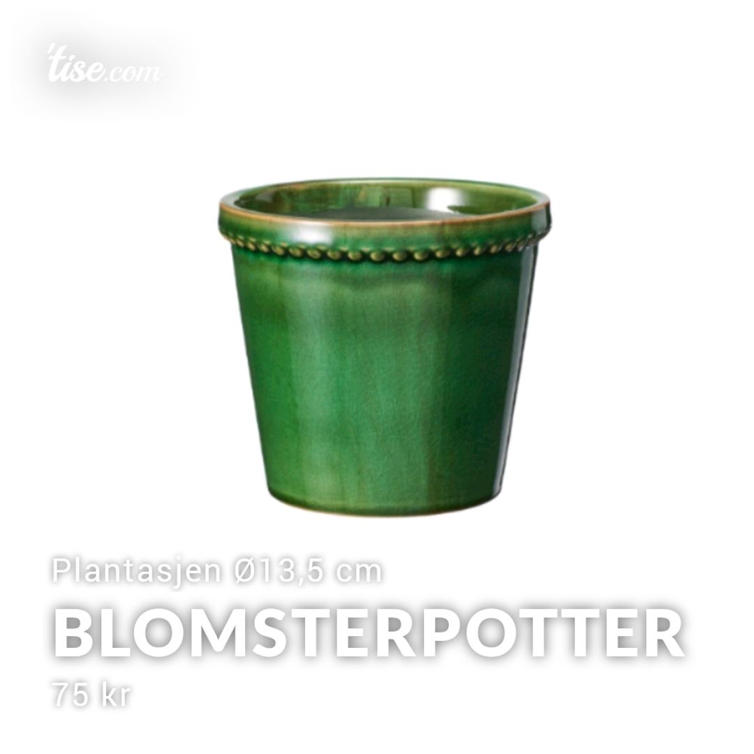 Blomsterpotter