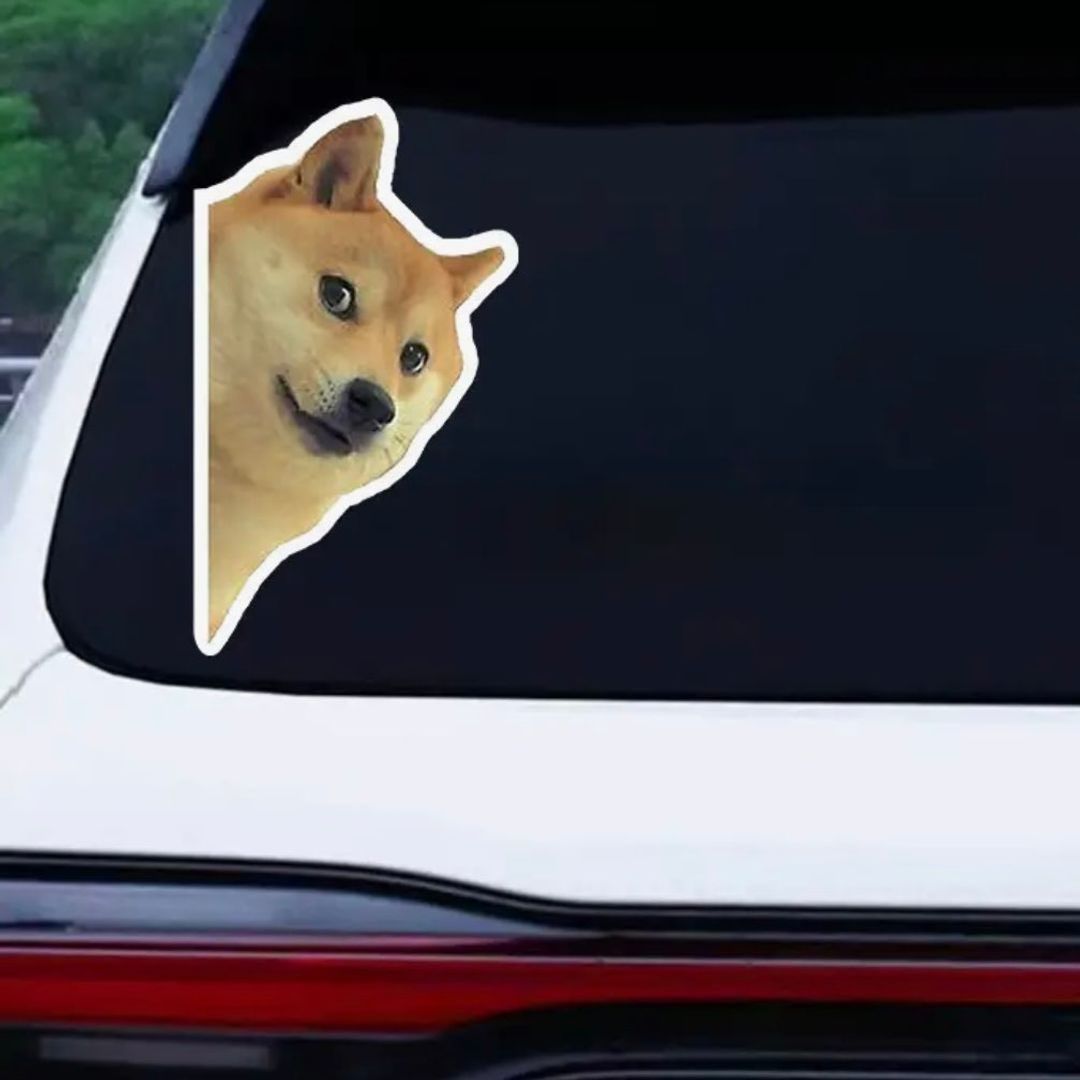 Shiba inu