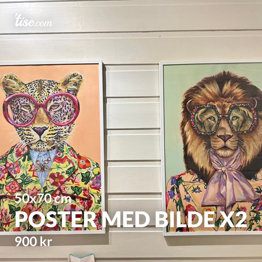 Poster med bilde x2