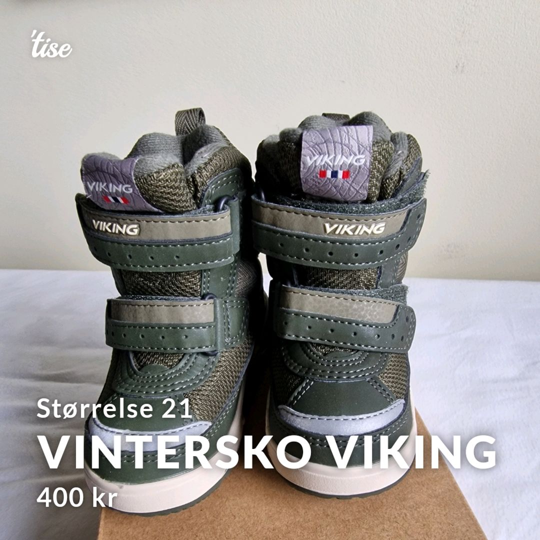 Vintersko Viking