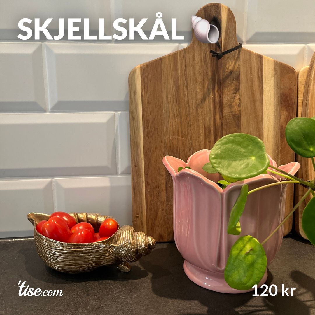 Skjellskål 🐚