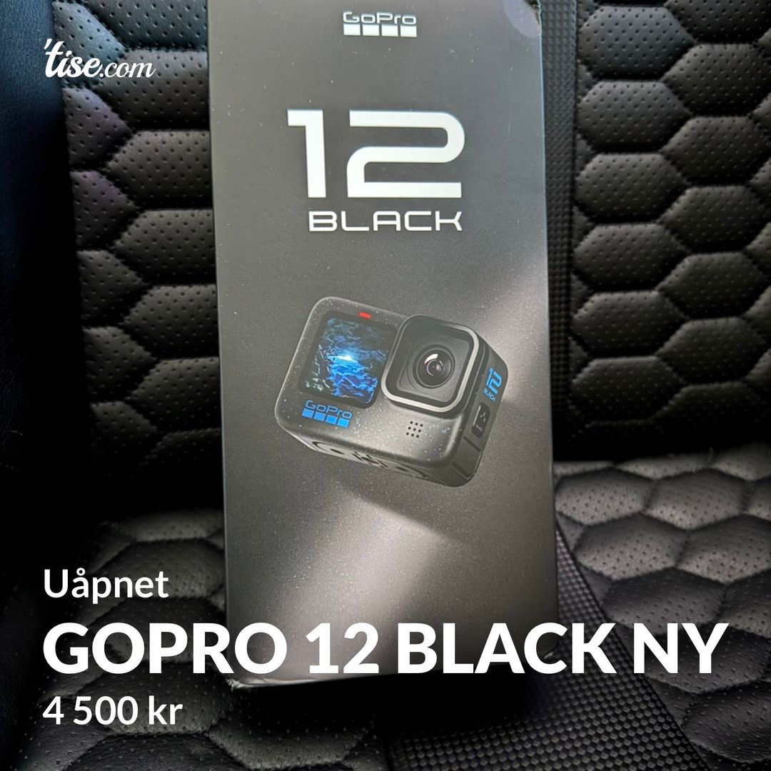 GoPro 12 Black NY