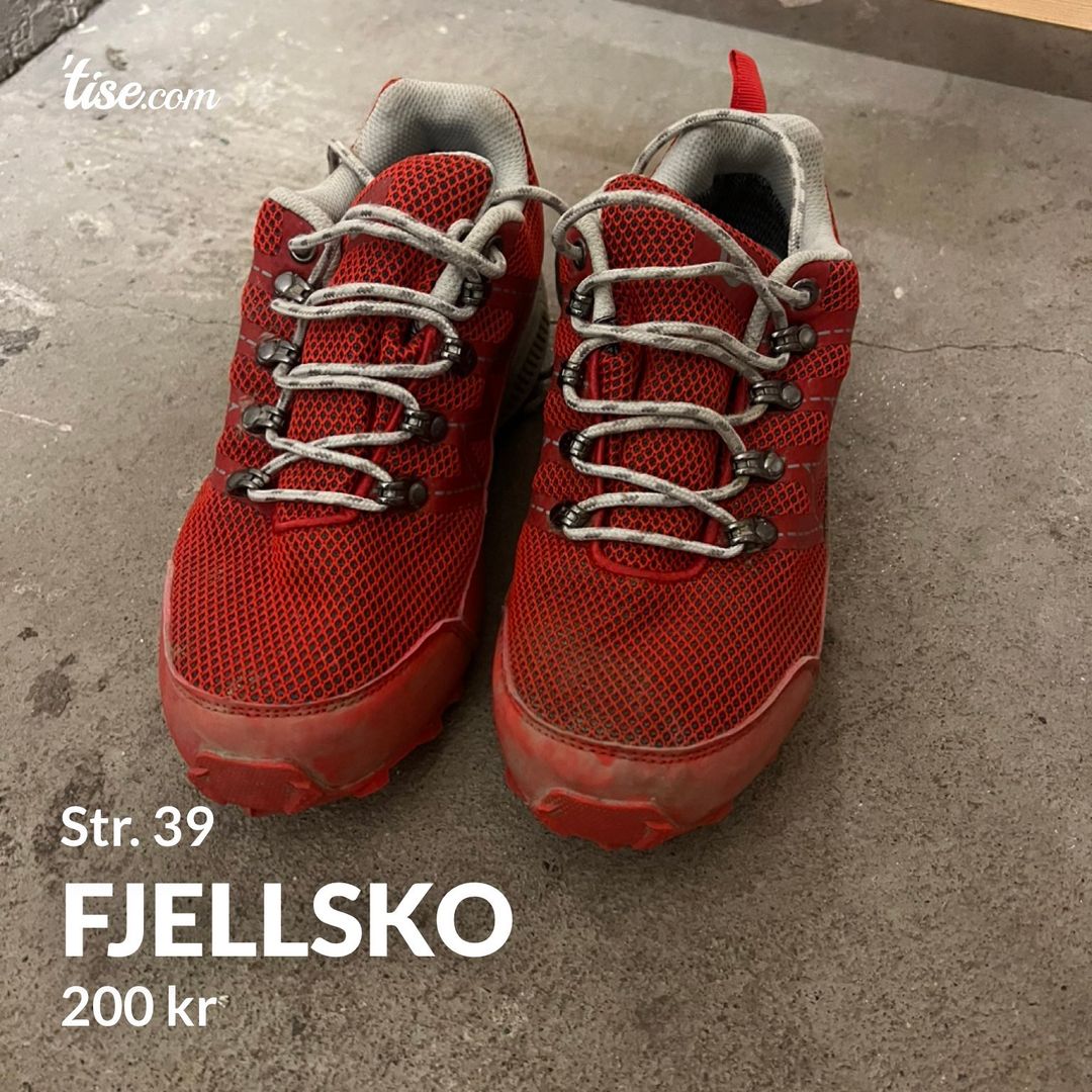 Fjellsko