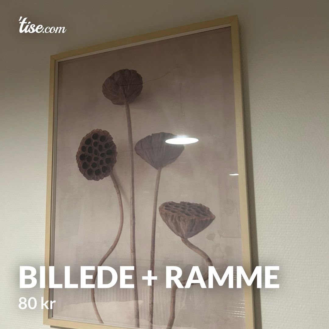 Billede + ramme