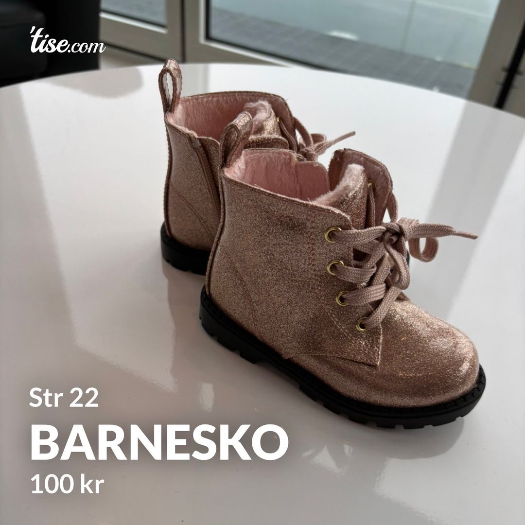 Barnesko