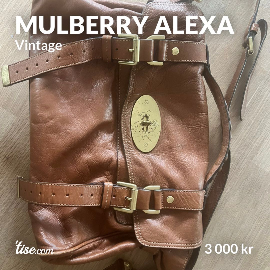 Mulberry Alexa