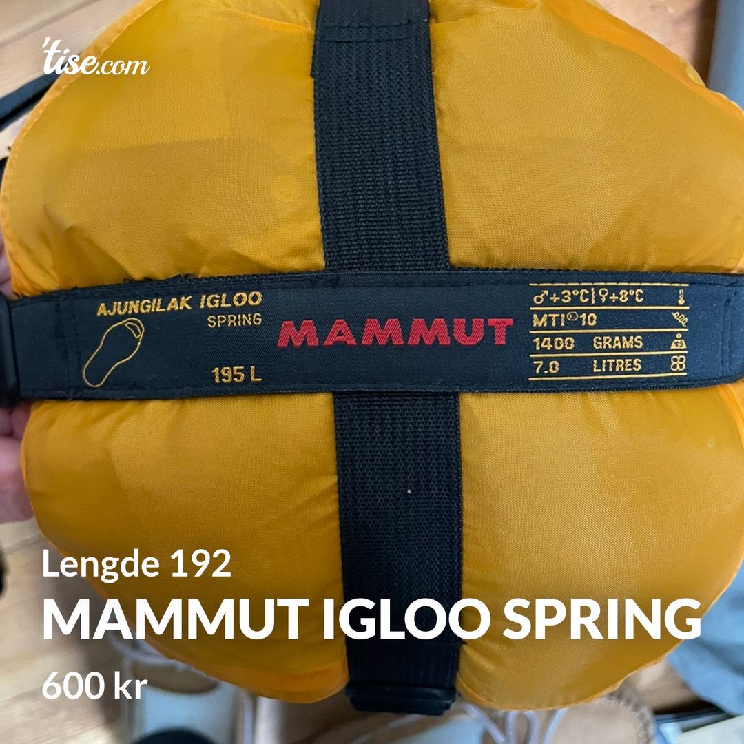 Mammut Igloo Spring