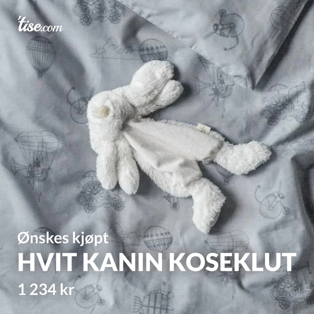 Hvit kanin koseklut