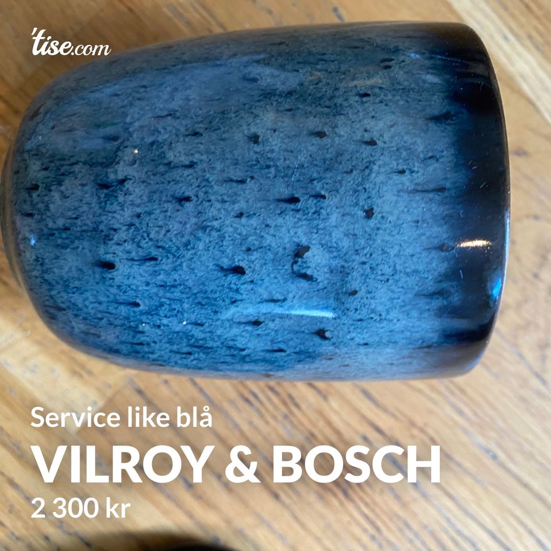 Vilroy  bosch