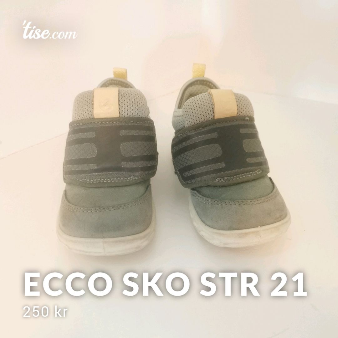 Ecco Sko Str 21