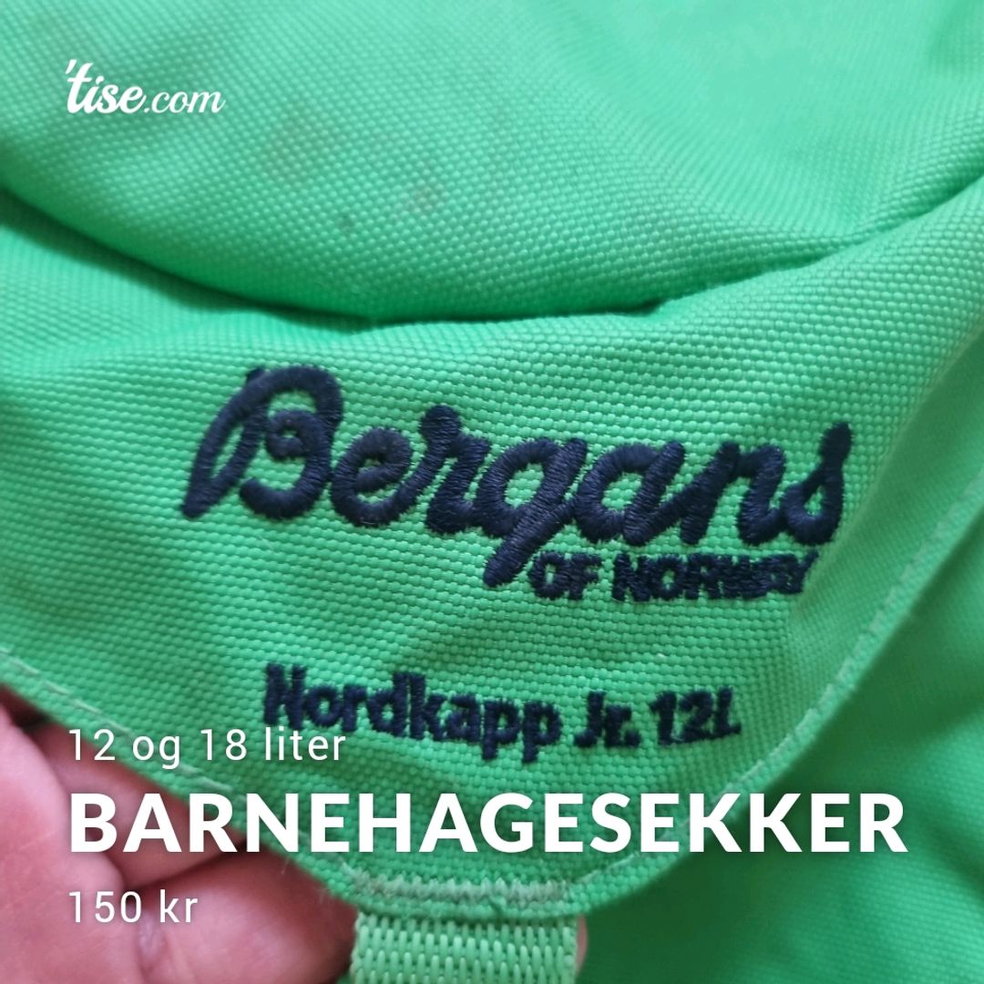 Barnehagesekker