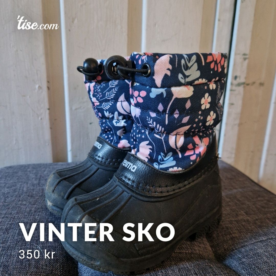 Vinter Sko