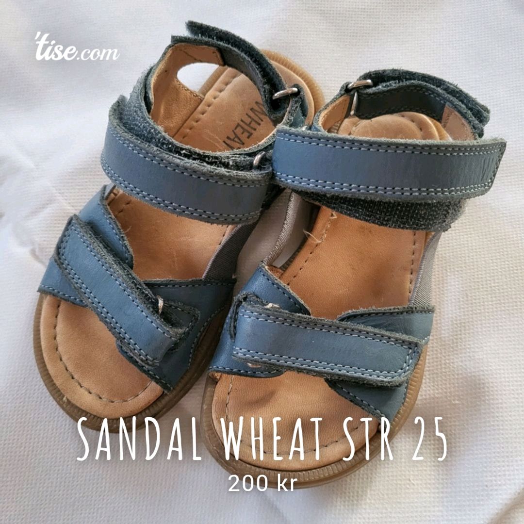 Sandal Wheat Str 25