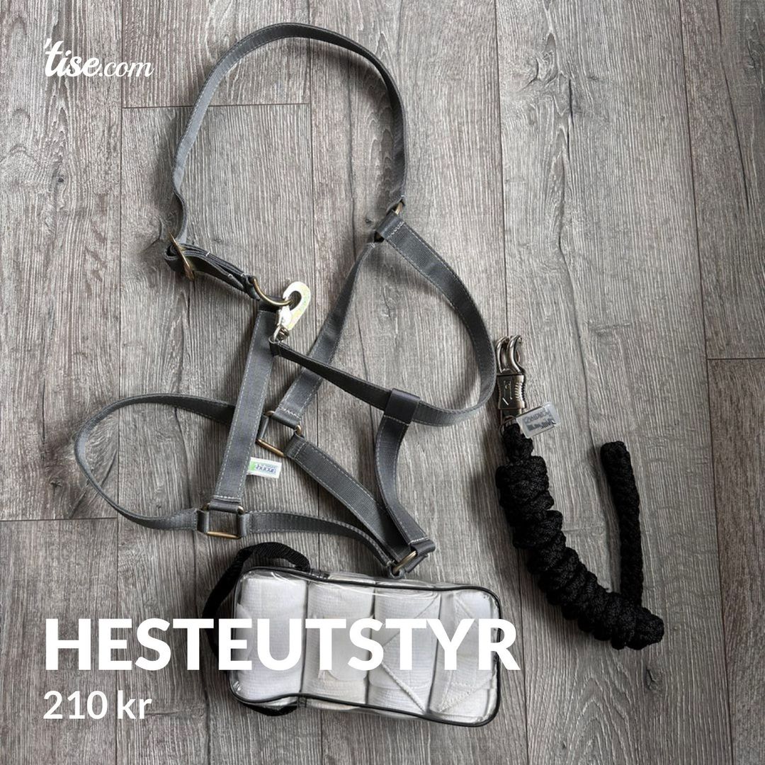 Hesteutstyr