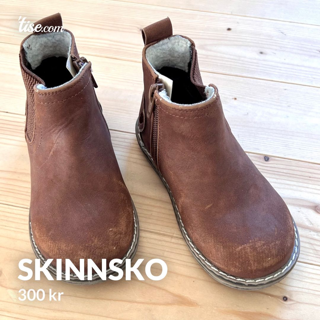 Skinnsko