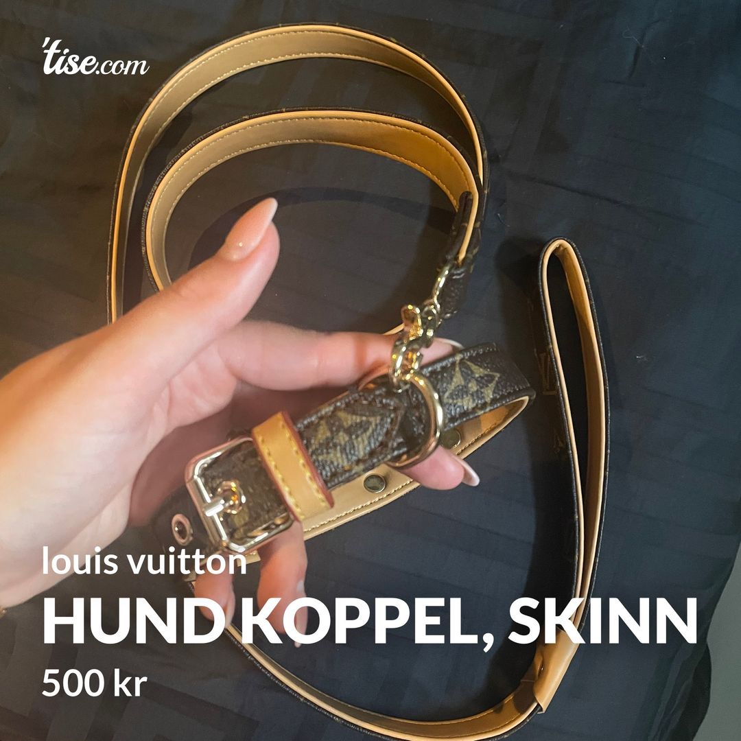 Hund koppel skinn