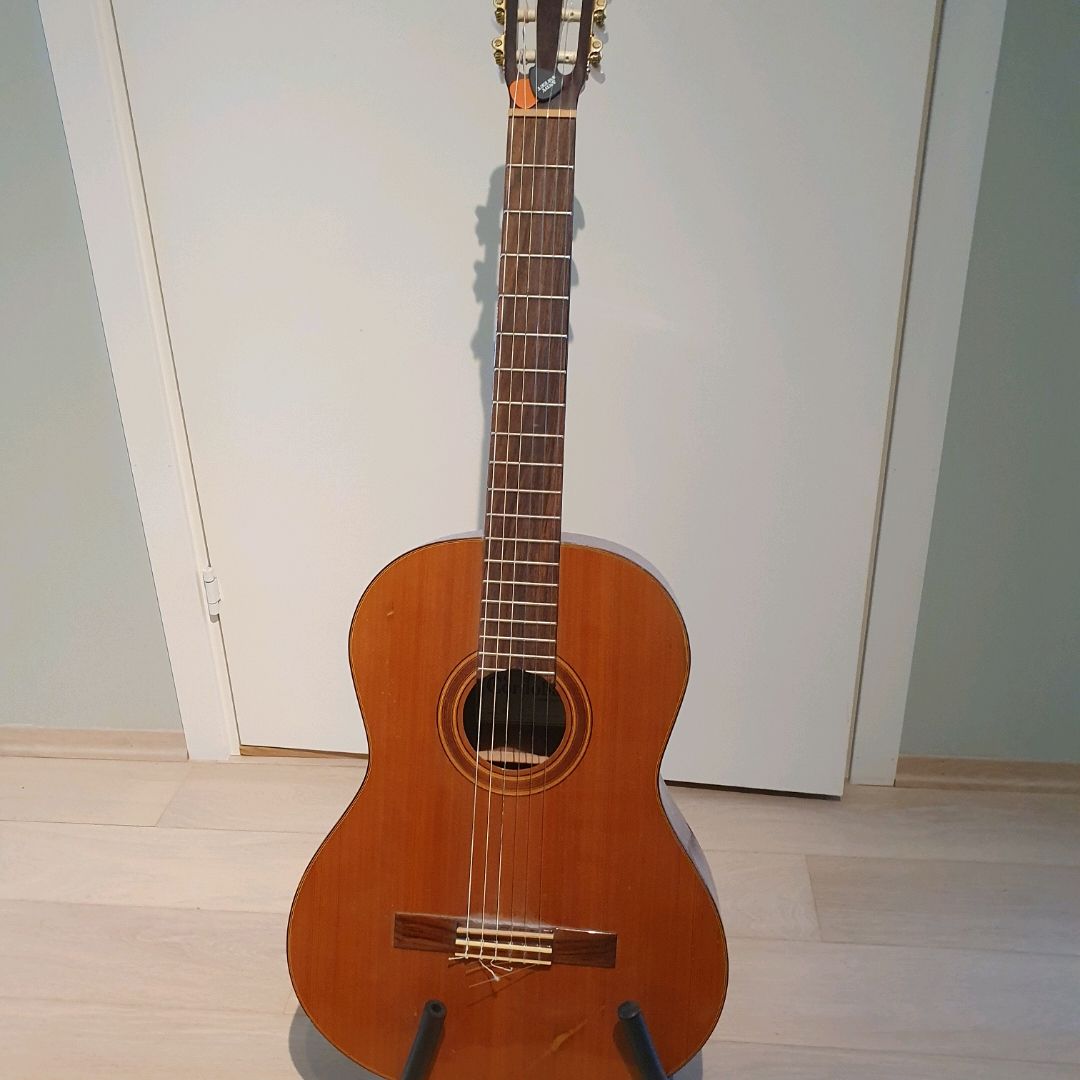 Akustisk Gitar