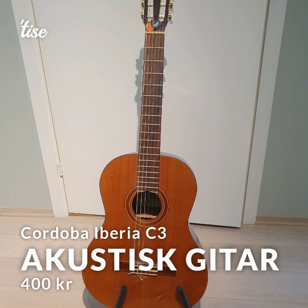 Akustisk Gitar